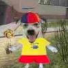 hoobiebert