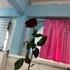 papitlatta22