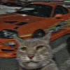 imjustacatwithasupra