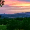 rosasantise
