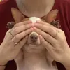 tinypewpew_