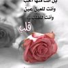 alpasha.1