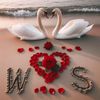 mrswaseem785