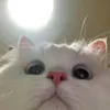 lilmessofme