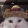 bajadasinfreno