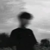 x.313p.0
