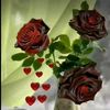 user9fo29l2sqn