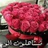 user4330006279461