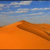 raaed300
