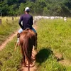 viniciussilva02431