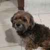hector27364