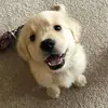 rexofnn5