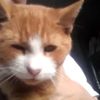 cat.a.li.na_