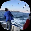كرار الشيباني