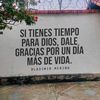 pana_lm