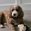 gdaisy6mom