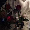 alaa._alsaadi