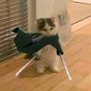 mimew_mimew19