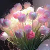 pham_anvy