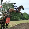 Sarah Hedges Eventing