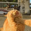 secretbunny0