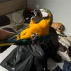 vertyboss