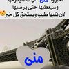 monaeldeeb41