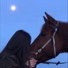 shougalzahrani437