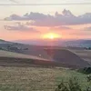 elodiemonaci682