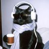 zeemacchiato