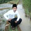 kangatam236