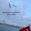 areej686