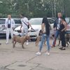 loco12_tv