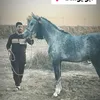 aj4jah6ekhs7ndv