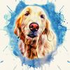 thestarvingdog