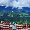 xanhngat8338