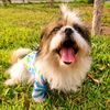 conypet
