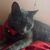 gaba_282