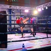 nando_dcm