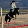 lana_equestrian_