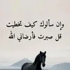 yassertaha384