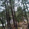 jon_dc.z71