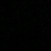 darini_22