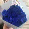 lollypop2225