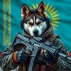 hellhusky
