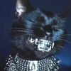 mico.mogs