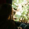 .vxzylw