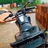 renissonvlog20
