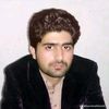 hazratwalikhan657