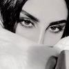 shooosh.q8